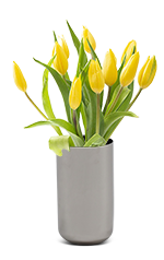 Mother's Day Gifts